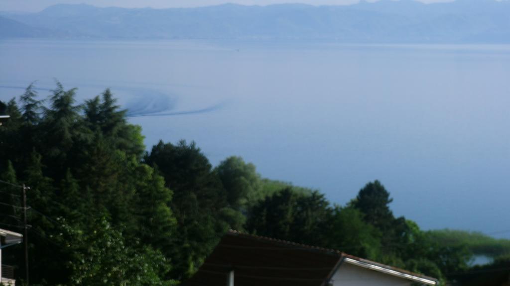 Villa Novak Ohrid Kültér fotó